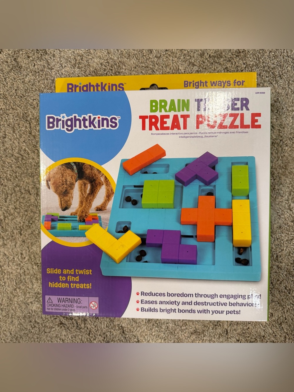 Brain Teaser Treat Puzzle